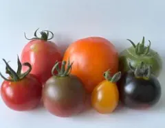 Tsubame様 リクエスト 2点 まとめ商品