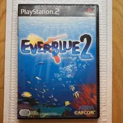 ※特殊チラシ付き※ エバーブルー2 PS2 名作　レアソフト