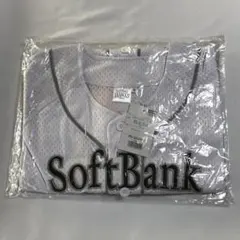 Item thumbnail for item 890b8240-acd0-4023-90ea-88131e0cffc7