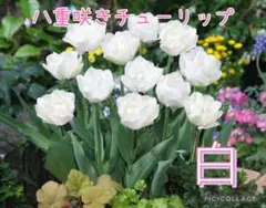 みきちゃん様 リクエスト 3点 まとめ商品