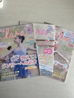 Item thumbnail for item 53361450-3f1a-46c6-abd1-ae0714800228