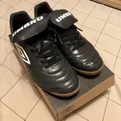 Item thumbnail for item 0b127ee5-bd1a-4081-ab3b-0d1fe9c1f63f