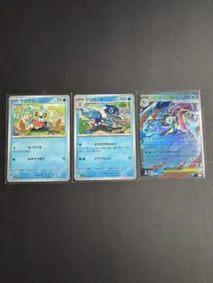 【RR】 メガゲッコウガex 進化ライン付き