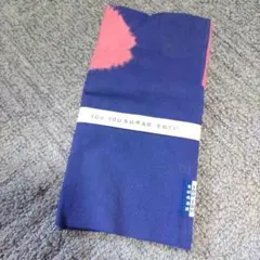 Item thumbnail for item 1ac11a12-254c-4cbf-9fdc-c701d7a609ed