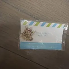 ARASHI ピンバッジ Scene 大阪限定
