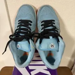 NIKE SB DUNK LOW PRO 58