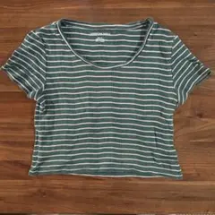 半袖 Tシャツ 短丈 アメリカンイーグルのサムネイル