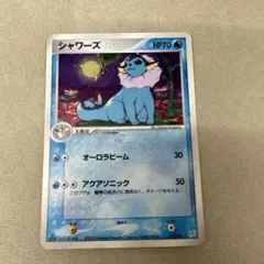 シャワーズ ☆ 強化拡張パックex1 マグマVSアクア ふたつの野望 022