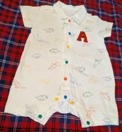 Item thumbnail for item 702b4082-81ab-4571-b3c8-b83c1c87ce7a