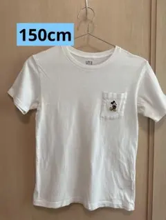 Item thumbnail for item c2854a50-9fef-408c-9d7c-3bd10b254610