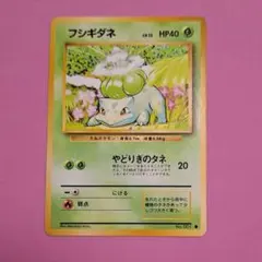 フシギダネ 6枚 フシギソウ 5枚セット フシギバナ フシギソウ フシギダネ 3種6枚セット ダークラッシュ BW4