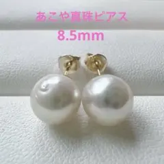 1571 お買い得◎ あこや真珠ピアス 本真珠 アコヤ真珠 パール 結婚式