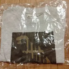 恐竜ロンT 120　グレー