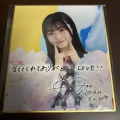 sk様 リクエスト 2点 まとめ商品