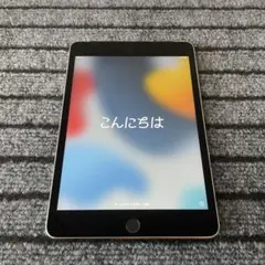 44【早い者勝ち】 iPad mini4 4世代 64GB スペースグレイ