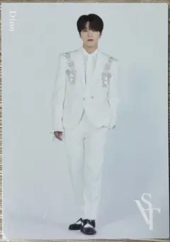 SEVENTEEN SVT DINO ディノ トレカ