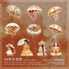 【同梱価格150円】　素晴らしい雨季ホログラムPETシール　コラージュ素材　D