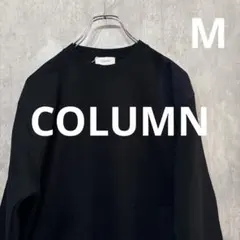 【新品定価2.8万】ESTNATION　COLUMN ロングスリーブTシャツ　M