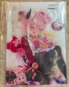 奈羅花　誕生日　グッズ　アクリルパネル　手紙　ブロマイド 奈羅花 誕生日 グッズ アクリルパネル 手紙 ブロマイド 奈羅花