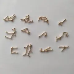 12星座チャーム セット ゴールド