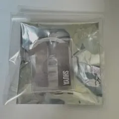 超特急 シューヤ ペンライトアクセサリー 新品未使用