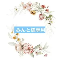 みんと / リピーター様10％オフ！！様 リクエスト 2点 まとめ商品