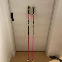 2026年最新】LEKI 長さ（cm）：115 〜 119.9cm スキー ストックの人気
