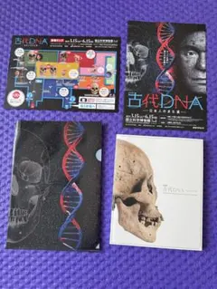 Item thumbnail for item e89f0124-b2b9-40ac-a2b5-5d352040cef8