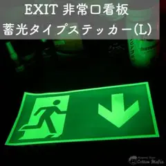 EXIT 非常口 案内板 ステッカー アメリカ 雑貨 蓄光 世田谷 ガレージ