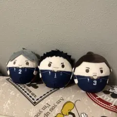 2026年最新】澤村大地 ぬいぐるみの人気アイテム - メルカリ