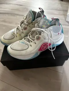 LI-NING WADE ICE 2 V2 US8.5 26cm - メルカリ