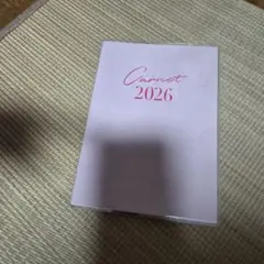 Item thumbnail for item cfa62439-9921-4e93-97f7-ffbc7c339a7f