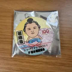 Item thumbnail for item 11ad1d2e-90eb-4b2b-a039-cfdb6a1f9b3a