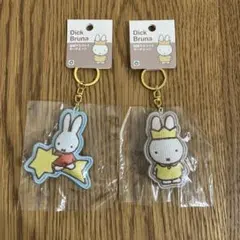 Item thumbnail for item 181cca6a-14dc-4e71-9a6e-a56581f1113f