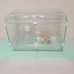 グラスハーモニー360のサムネイル