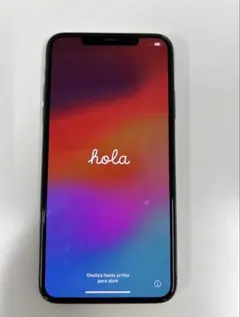 iPhone 11 promax 512GB これで売れなきゃ知り合いにあげます iPhone 11 promax 512GB これで売れなきゃ知り合いにあげます