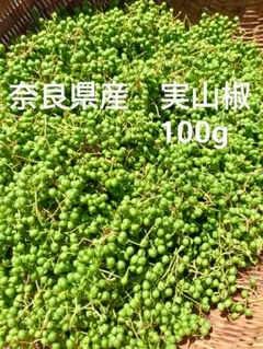 2026年最新】花山椒 100gの人気アイテム - メルカリ