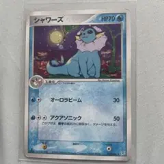 シャワーズ ☆ 強化拡張パックex1 マグマVSアクア ふたつの野望 022