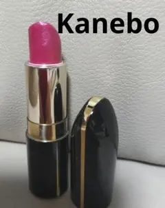 SALE♡カネボウ テスティモ  リップスティック PK1のサムネイル