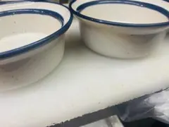 白い小鉢 青い縁複数個セット 和食器 業務用にも１セット10個売り