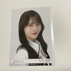 櫻坂46 向井純葉 生写真 Lonesome rabbit 封入 ヨリ - メルカリ