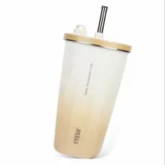 TYESO ステンレスボトル 470ml 保冷保温 シャインモカ
