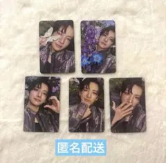 &TEAM Back to Life トレカ Yuma