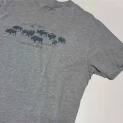 EddieBauer Tシャツ Lサイズ メンズ レディースのサムネイル