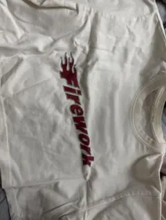 夏物チビTシャツ2枚セット 上野ABAB