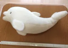 シロイルカ ぬいぐるみ LLLサイズ - メルカリ