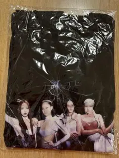 BLACKPINK ロングスリーブTシャツ（M）