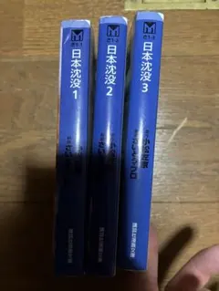 Item thumbnail for item 09c43f61-537c-451e-aeba-28e74dd23dc4