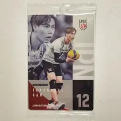 男子バレーボール 日本代表ツインウエハース2026 高橋藍 カード