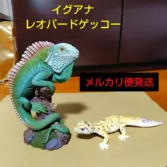 レオパードゲッコー イグアナ 置き物 メルカリ便発送 ヒョウモントカゲモドキ